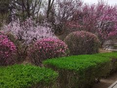 -满都海公园