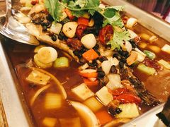 -鱼乐乐(Happy Fish)