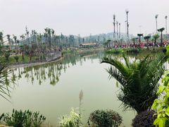 -枫香湖儿童公园