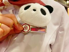 -海底捞火锅(公益西桥店)
