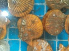 -海之鲜大排档(东山海鲜金銮湾店)