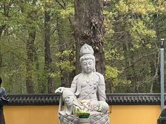 -灵谷景区
