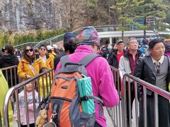 -秦岭天竺山生态文化旅游景区