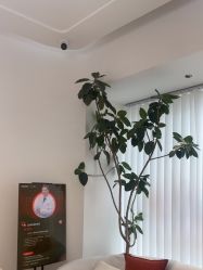 -WENDY·温迪皮肤管理