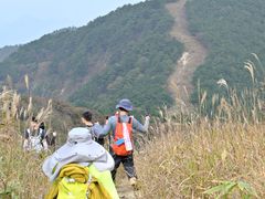 -罗田天堂寨风景区