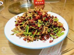 -8号蒸饺精品炖鸽子(康特商街店)