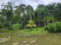 -中国科学院西双版纳热带植物园