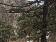 -牛背梁国家森林公园