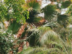 -石家庄市植物园