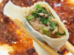 香菜猪肉水饺-枫林饺子
