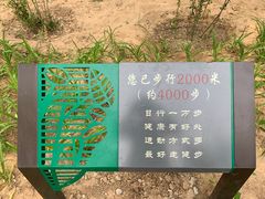 -大兴滨河森林公园