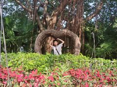 -厦门方特梦幻王国