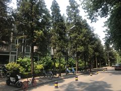 -熙春园餐厅