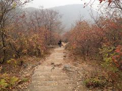 -环翠峪风景区