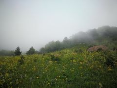 -白草畔自然风景区