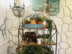 -Vanillacafe香草咖啡(银海大世界店)