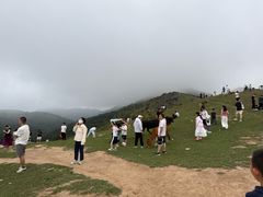 -大姆山草场