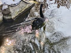 -水磨沟公园