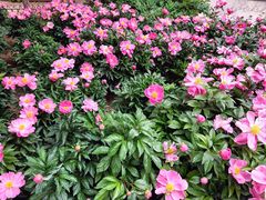 -中央财经大学-食堂