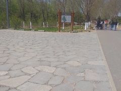 -东郊湿地公园