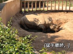 -泉州海丝野生动物世界