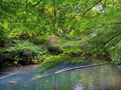 -杭州半山国家森林公园