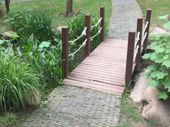 -陈家山荷花公园