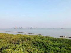 -南沙十九涌渔人码头-南门