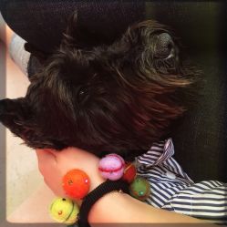 -Hello Lady发型设计