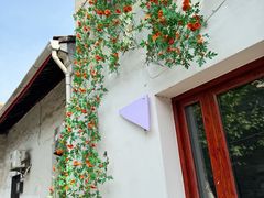 -老袁炒年糕(富豪路店)