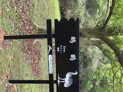 -杭州野生动物世界