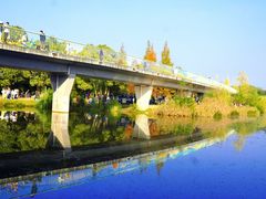 -白鹭湾湿地公园