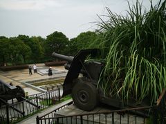 -吴淞炮台湾湿地森林公园烧烤区