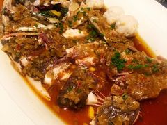 剁椒鱼头-凤凰湘语·湘粤鲜融(浦东旗舰店)