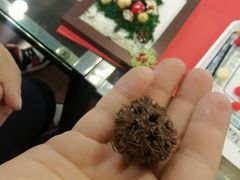 -北京鹏龙星徽奔驰4S店(西大望路店)