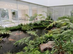 -罗红摄影艺术馆