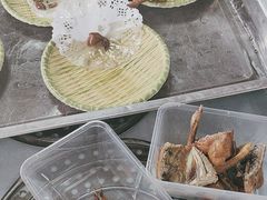 -麻奢鸽农庄·梦里水乡