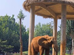 -石家庄市动物园