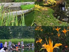 -成都市活水公园