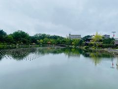 -北湖公园