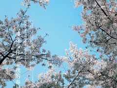 -龙美术馆(西岸馆)