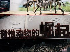 -国家自然博物馆
