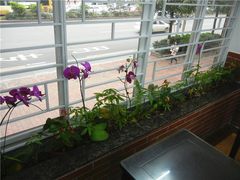 双皮奶-沙湾姜撞奶甜品店(昌岗中路店)
