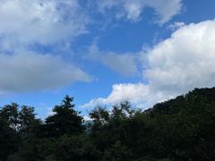 -秦岭风景区