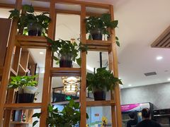 -叁拾壹克饺子·东北菜(国贸店)