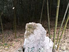 -杭州植物园