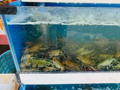 -王四营海鲜市场