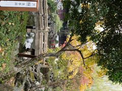 -东山雕花楼