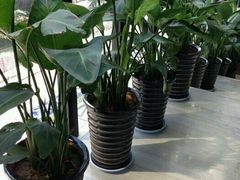 -CLASS国际公馆诺伯曼超越运动会馆