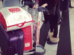 -乐天免税店(仁川国际机场店)